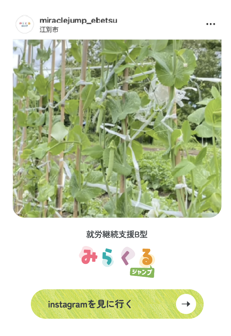 就労継続支援B型　みらくるジャンプ　Instagram